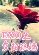 EXO֮Ϧ